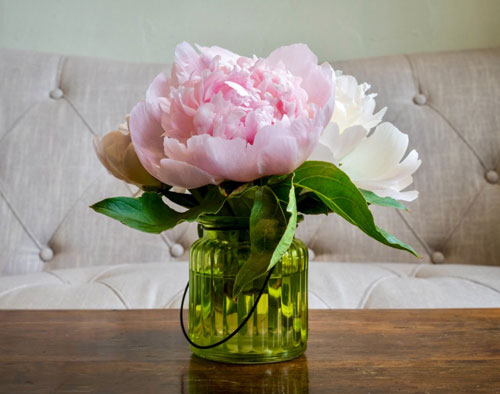 peonies