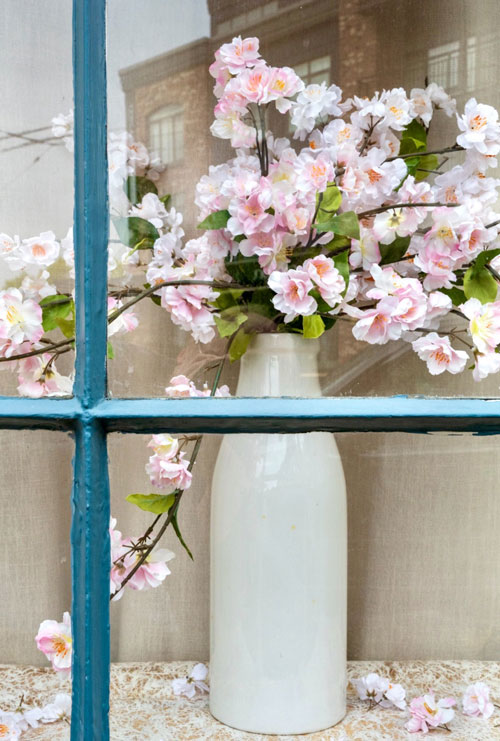 pink flowers in window